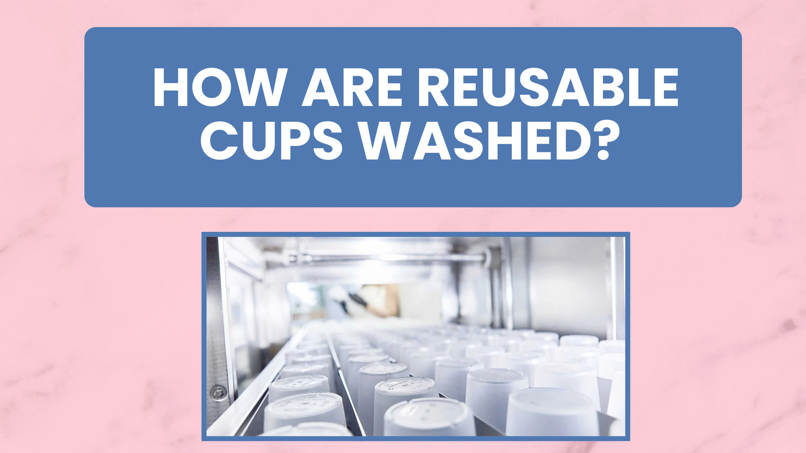 How are reusable cups cleaned